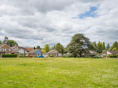 Picture 16